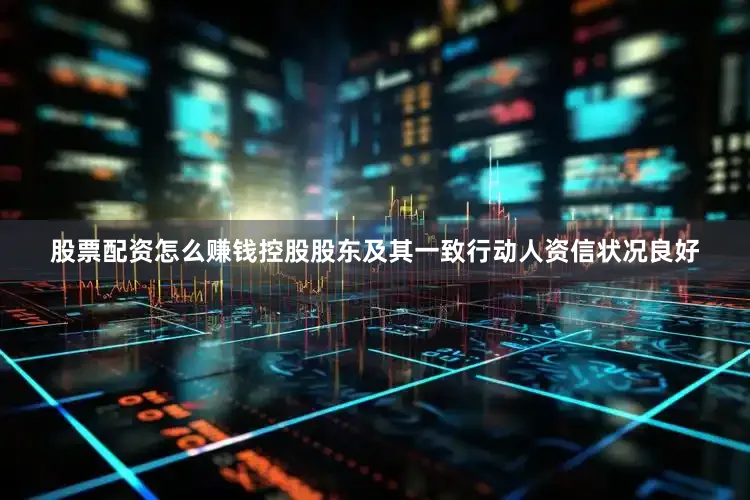 股票配资怎么赚钱控股股东及其一致行动人资信状况良好