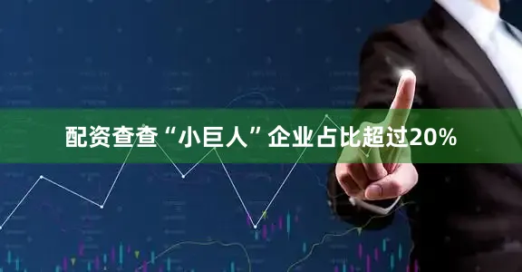 配资查查“小巨人”企业占比超过20%